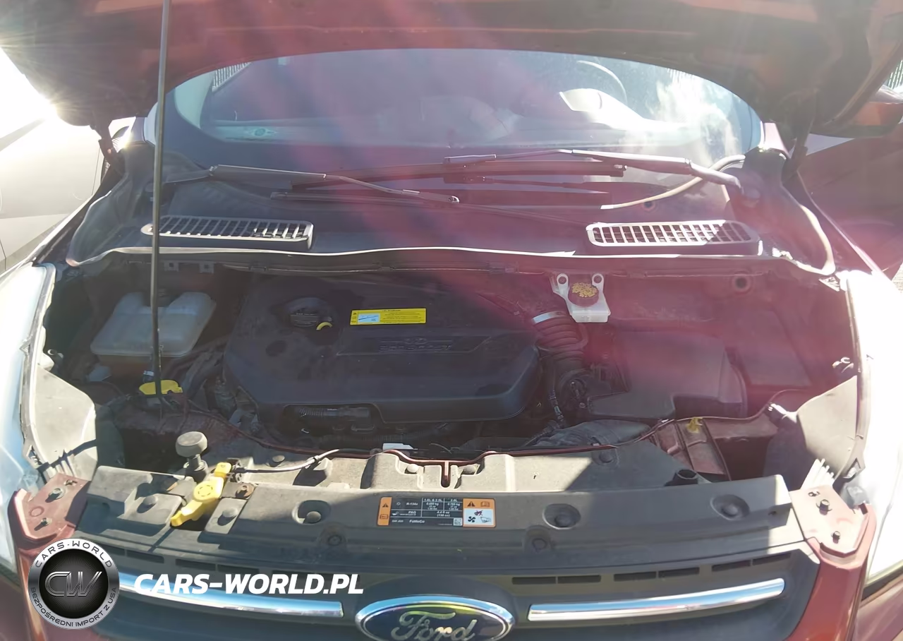 2016 Ford Escape Se VIN:1FMCU9GX6GUC55243 - 10