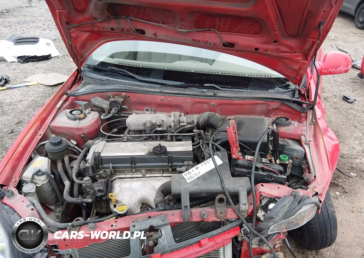 2004 Hyundai Accent Gl VIN:KMHCG45C24U523484 - 10