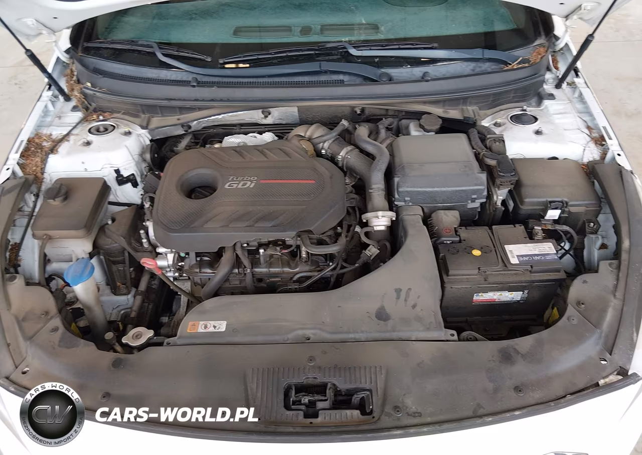 2015 Hyundai Sonata Limited 2.0T VIN:5NPE34AB3FH182907 - 10