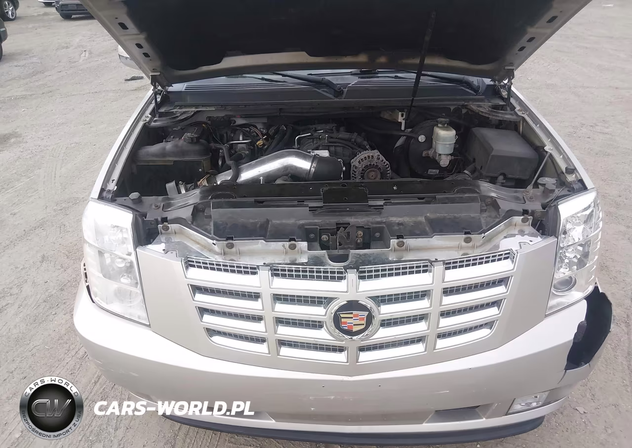 2008 Cadillac Escalade Standard VIN:1GYFK63898R130224 - 10