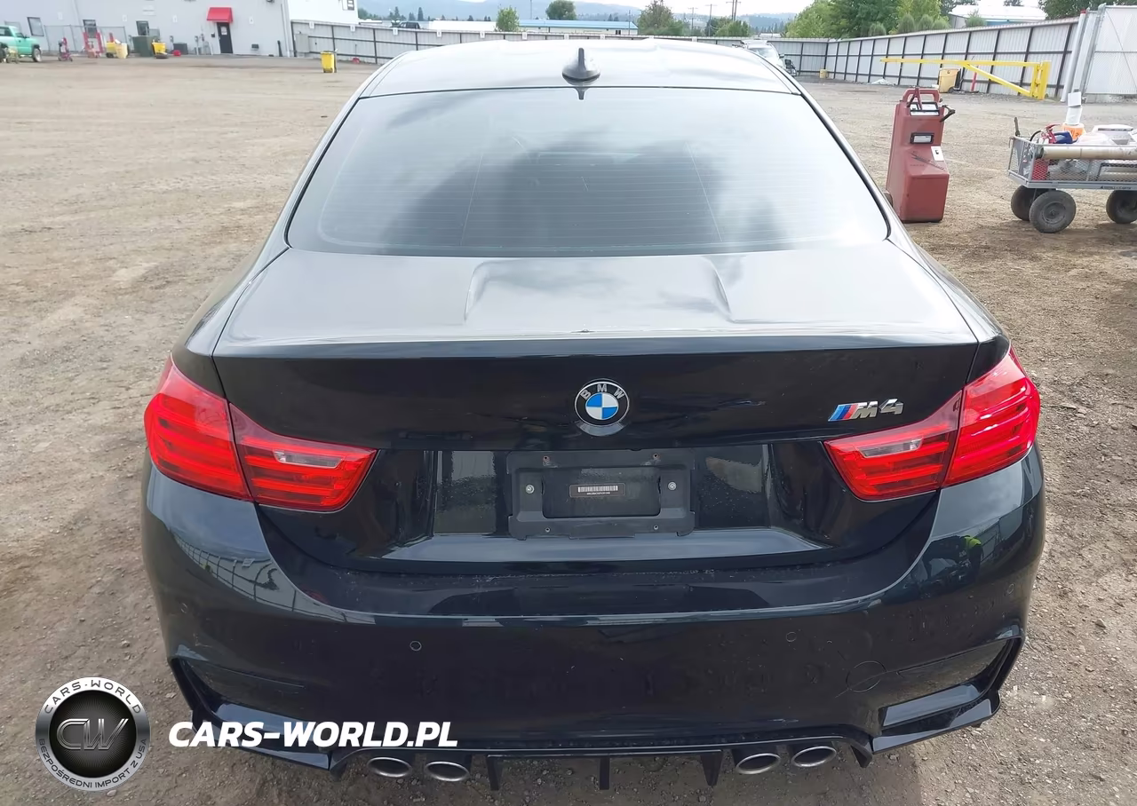 2015 BMW M4 VIN:WBS3R9C5XFK331043 - 17