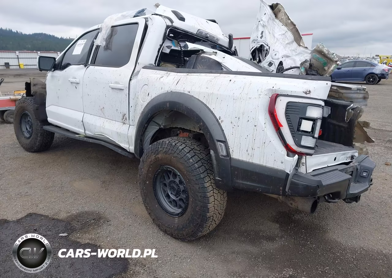 2023 Ford F-150 Raptor VIN:1FTFW1RG0PFA82706 - 3