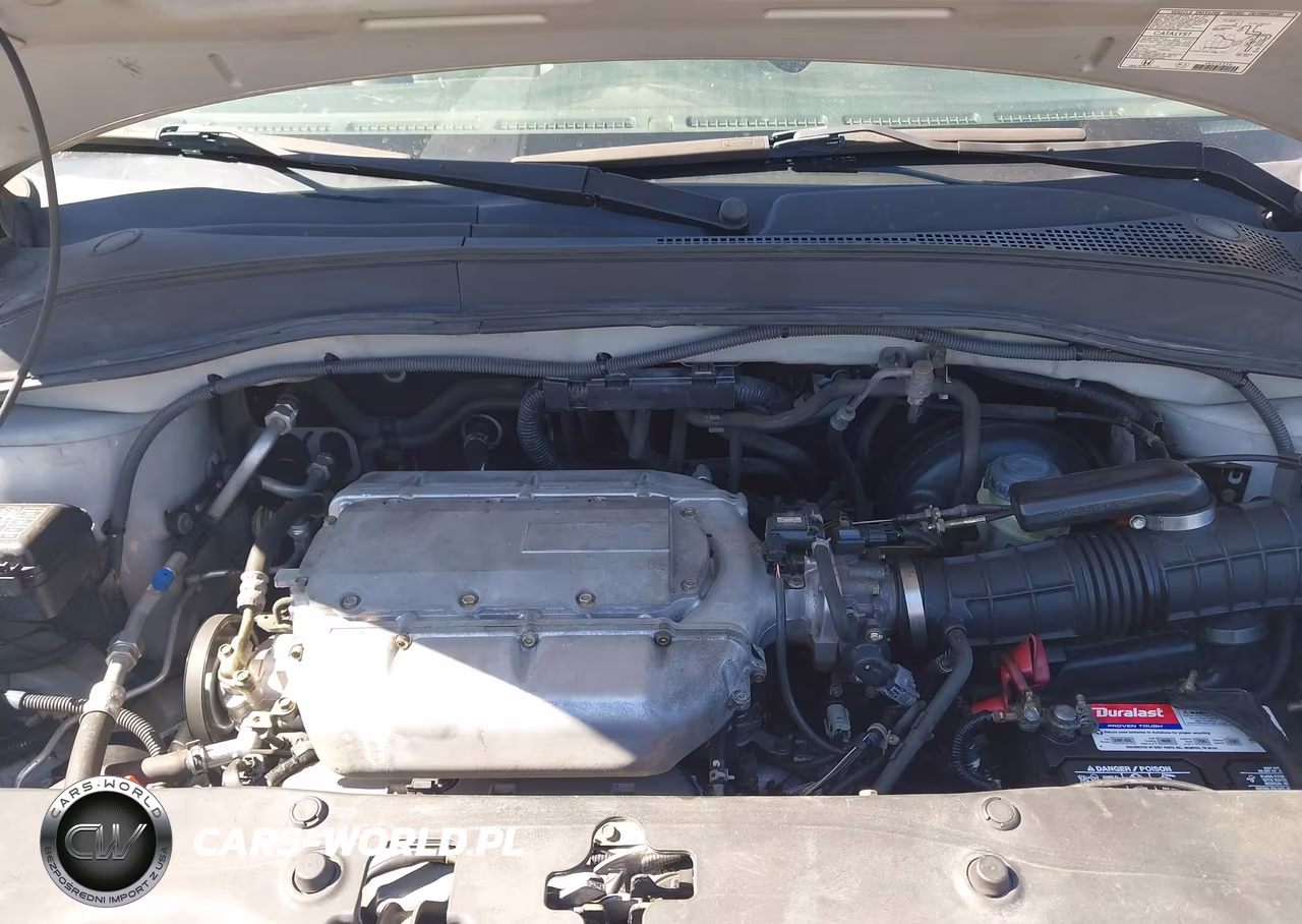 2004 Honda Pilot Ex-L VIN:2HKYF185X4H500571 - 10