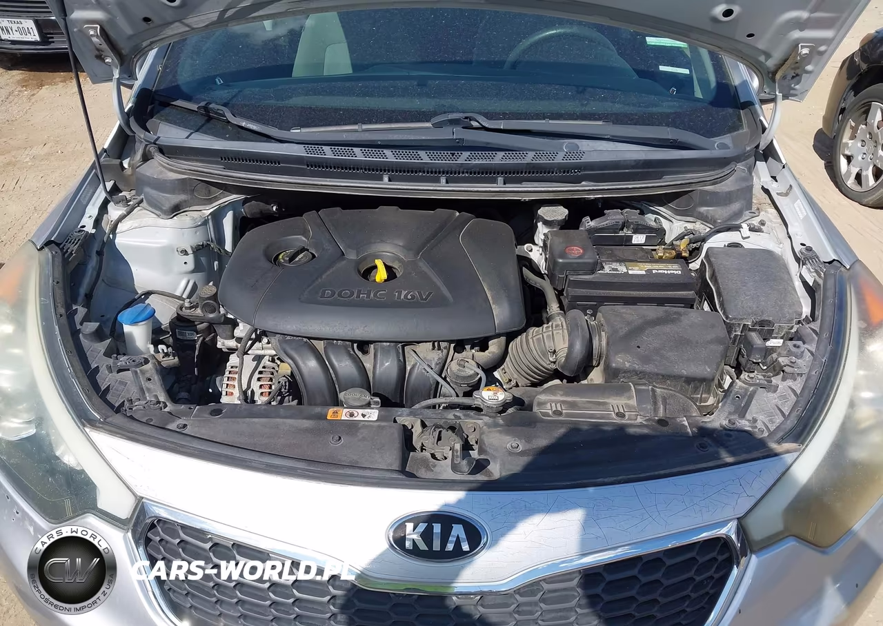 2015 Kia Forte Lx VIN:KNAFK4A6XF5261546 - 10