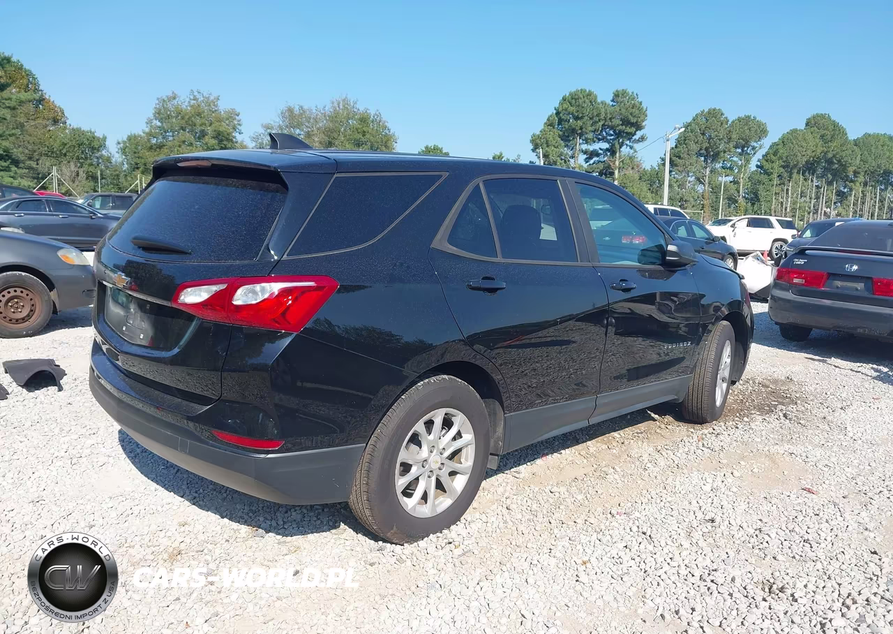 2020 Chevrolet Equinox Fwd Ls VIN:2GNAXHEV8L6210237 - 4