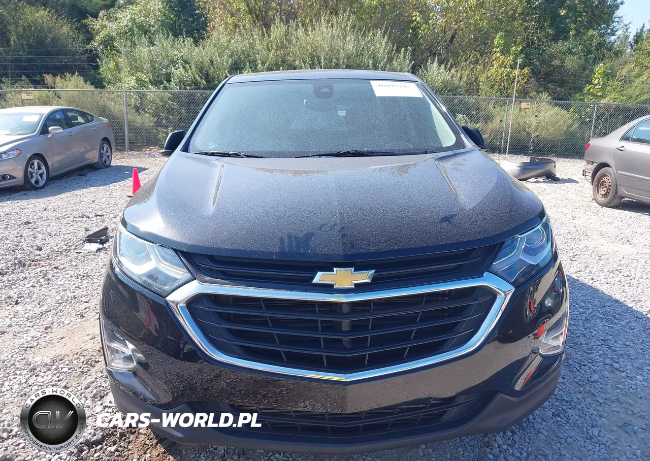 2020 Chevrolet Equinox Fwd Ls VIN:2GNAXHEV8L6210237 - 6
