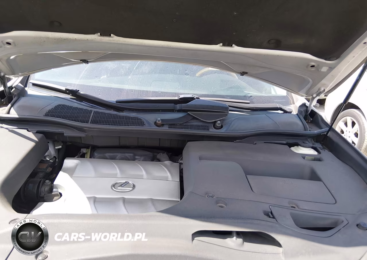 2010 Lexus Rx 350 VIN:2T2ZK1BA0AC032561 - 10