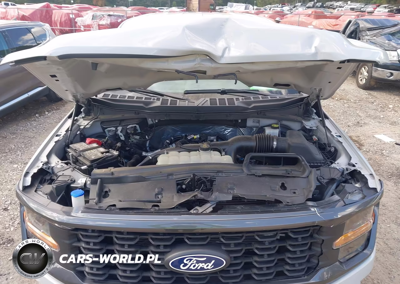 2024 Ford F-150 Stx VIN:1FTEW2KP4RKE75176 - 10