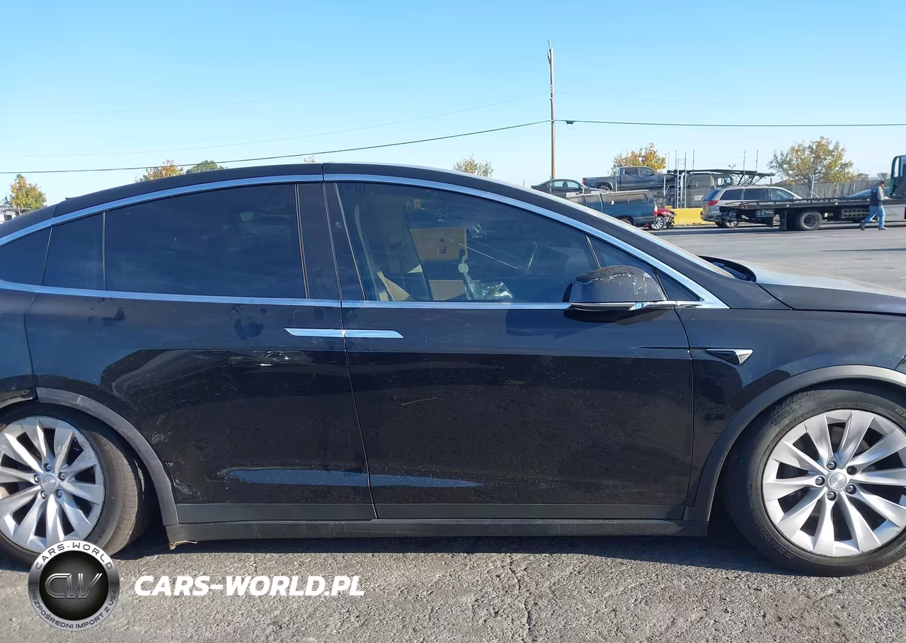 2017 Tesla Model X 100D-75D-90D VIN:5YJXCDE27HF049281 - 12