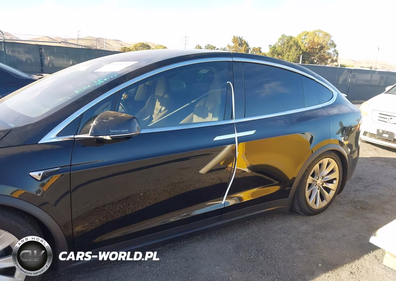 2017 Tesla Model X 100D-75D-90D VIN:5YJXCDE27HF049281 - 13