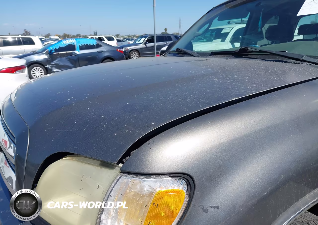 2003 Toyota Tundra Access Cab Sr5 VIN:5TBRN34183S382446 - 10