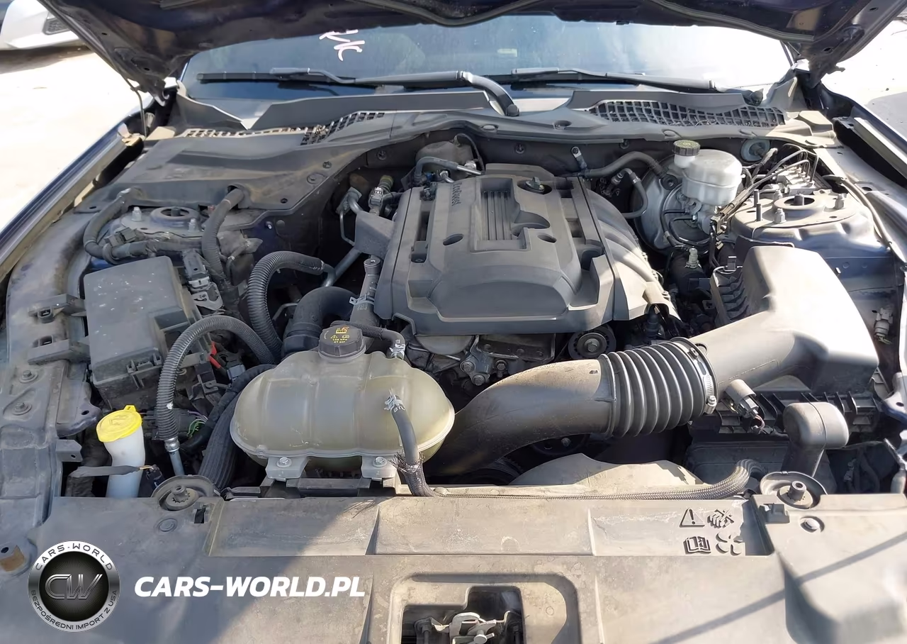 2019 Ford Mustang Ecoboost VIN:1FA6P8TH2K5129410 - 10