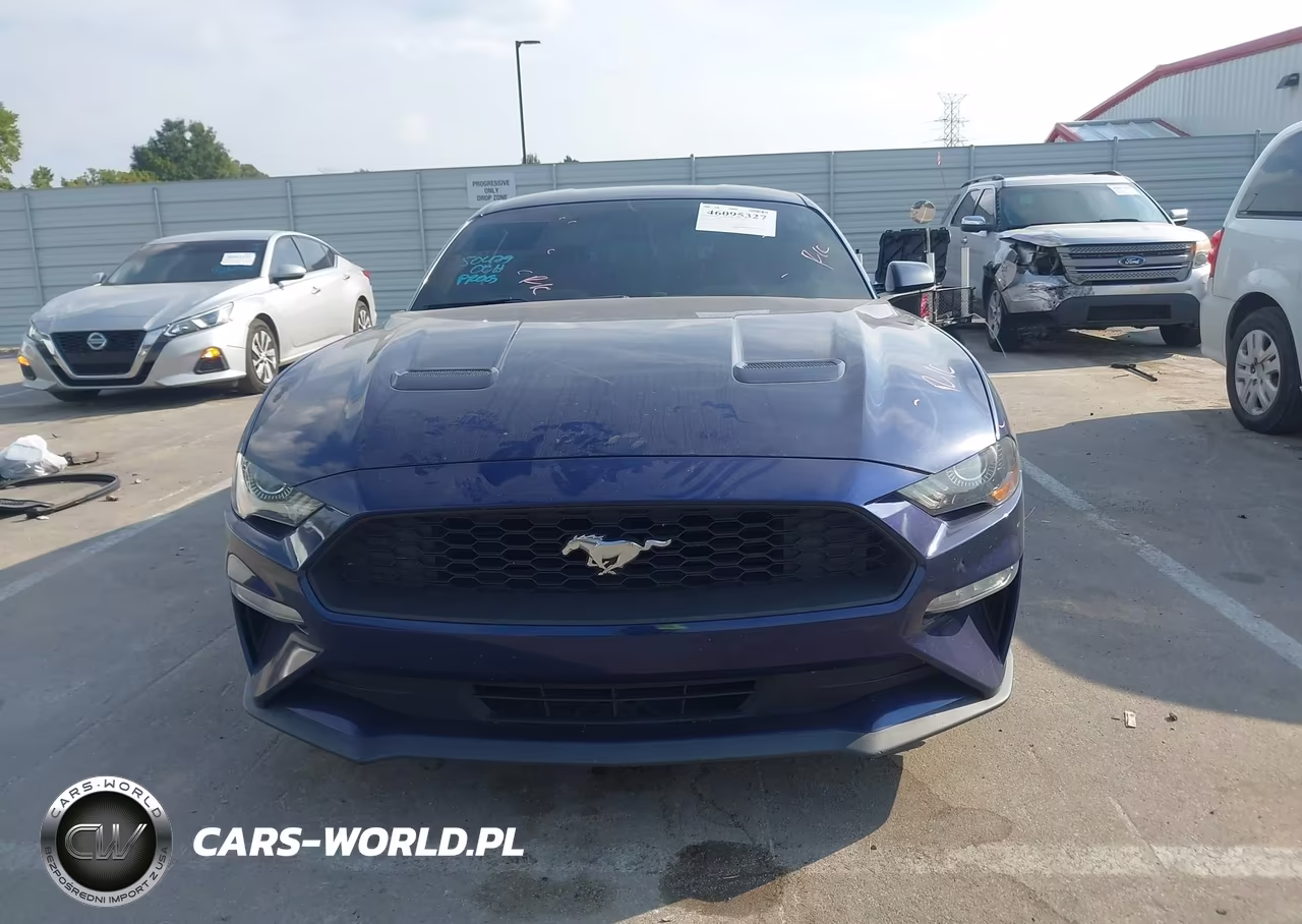 2019 Ford Mustang Ecoboost VIN:1FA6P8TH2K5129410 - 13