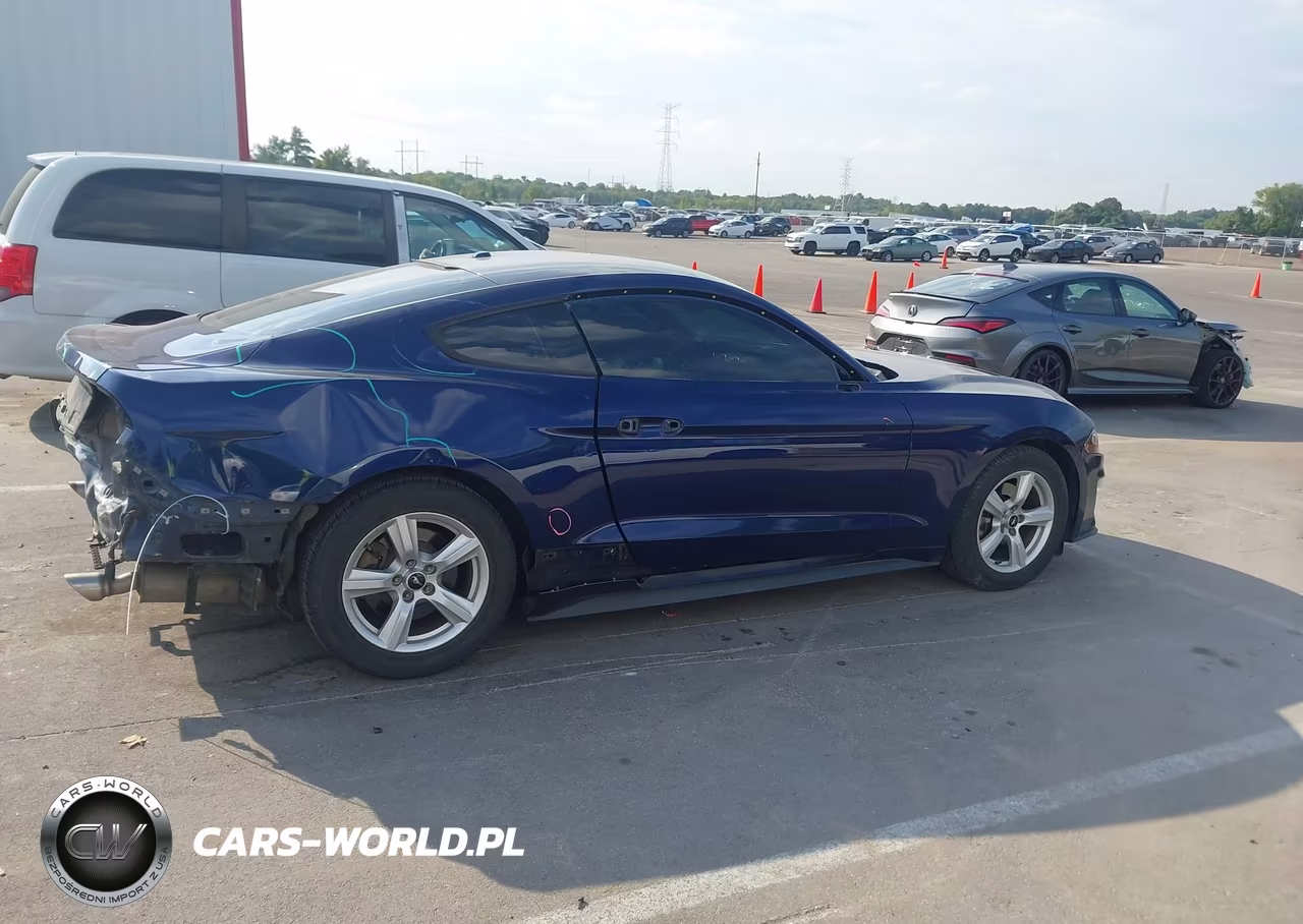 2019 Ford Mustang Ecoboost VIN:1FA6P8TH2K5129410 - 14