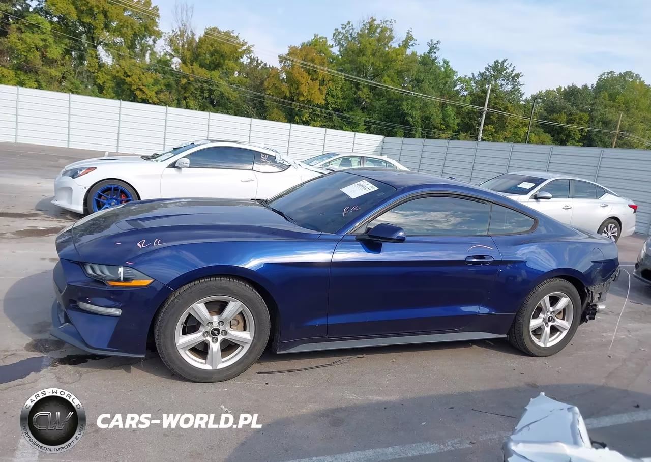2019 Ford Mustang Ecoboost VIN:1FA6P8TH2K5129410 - 15