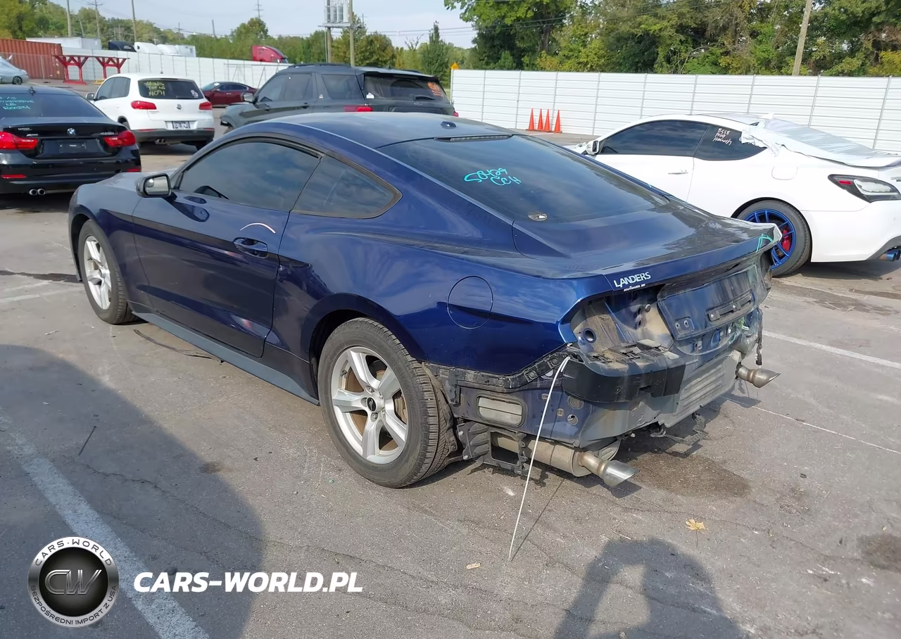2019 Ford Mustang Ecoboost VIN:1FA6P8TH2K5129410 - 3
