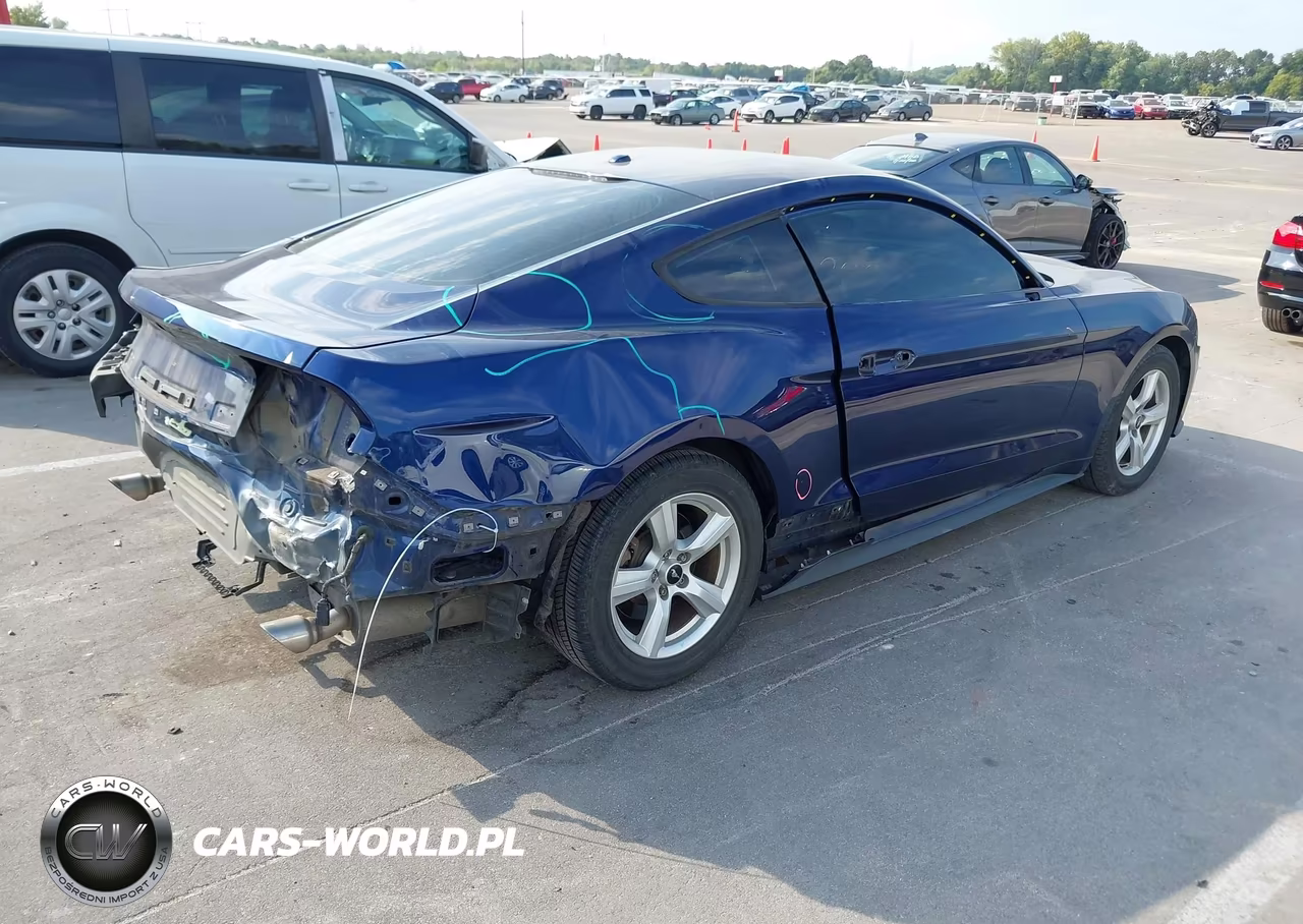 2019 Ford Mustang Ecoboost VIN:1FA6P8TH2K5129410 - 4