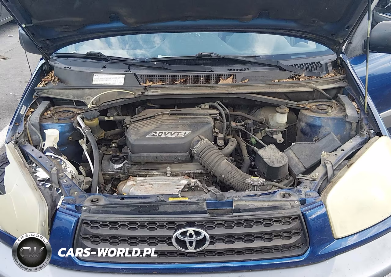 2003 Toyota Rav4 VIN:JTEHH20V830198507 - 10