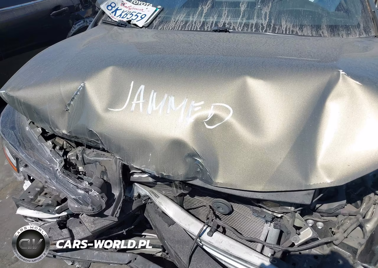 2019 Toyota Corolla Se VIN:JTNK4RBE1K3034634 - 10