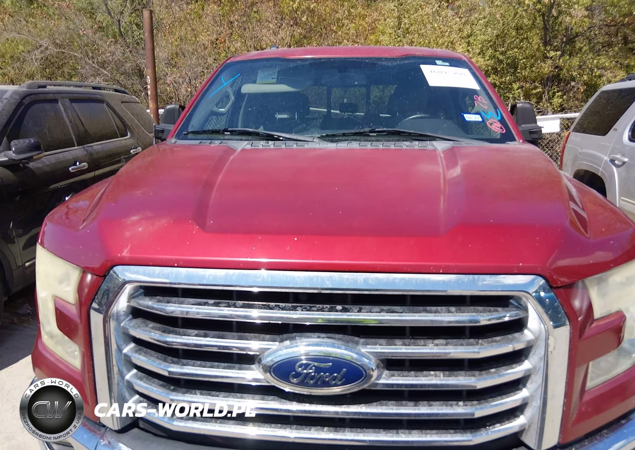 2015 Ford F-150 Xlt VIN:1FTEW1CF5FKE38889 - 12