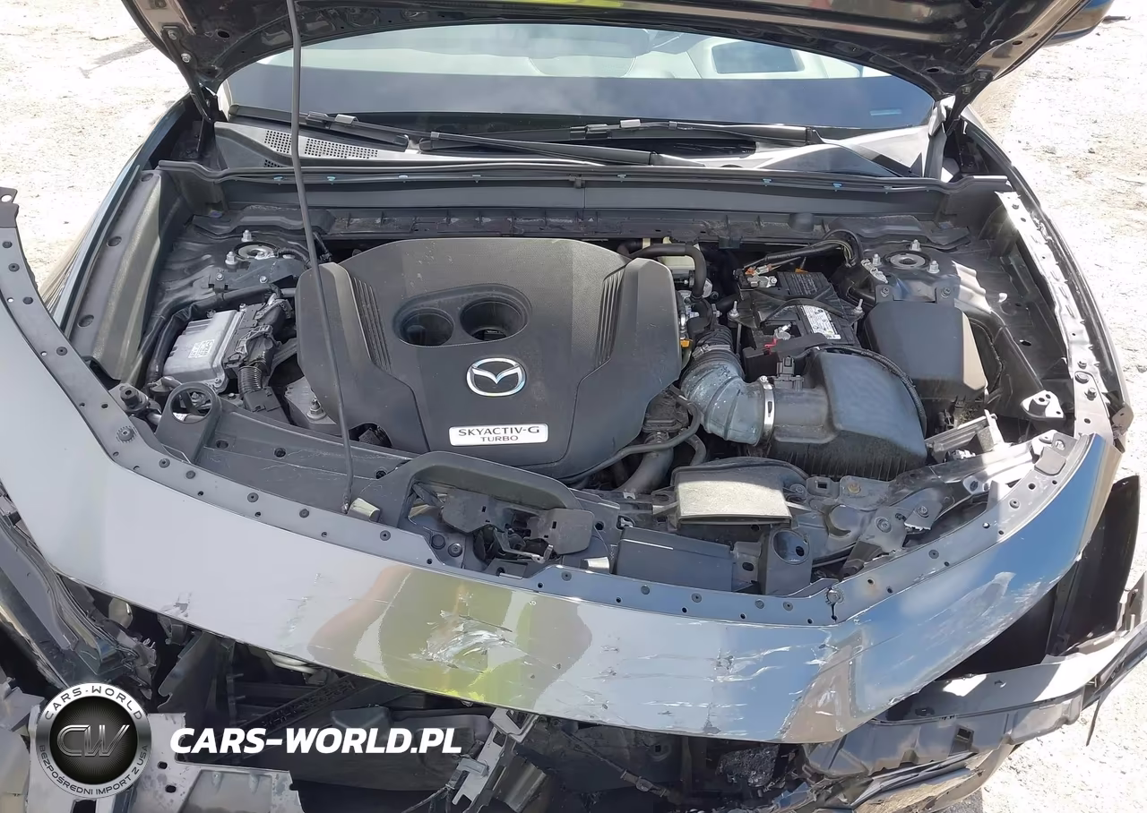 2022 Mazda Cx-30 2.5 Turbo Premium Plus VIN:3MVDMBEY3NM429622 - 10