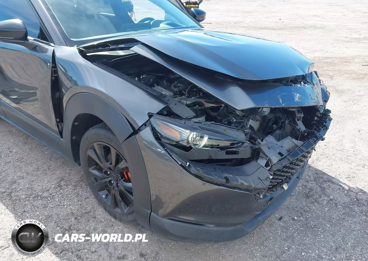 2022 Mazda Cx-30 2.5 Turbo Premium Plus VIN:3MVDMBEY3NM429622 - 6