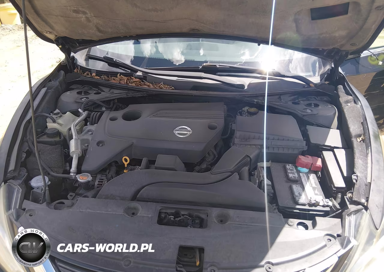 2016 Nissan Altima VIN:1N4AL3AP9GC209714 - 10