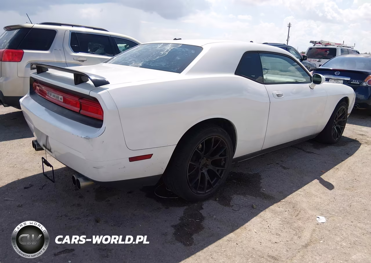 2010 Dodge Challenger Se VIN:2B3CJ4DVXAH278023 - 4