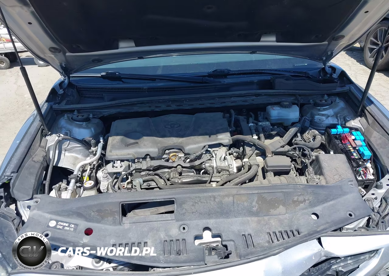 2020 Toyota Camry Se Hybrid VIN:4T1G31AK2LU533245 - 10