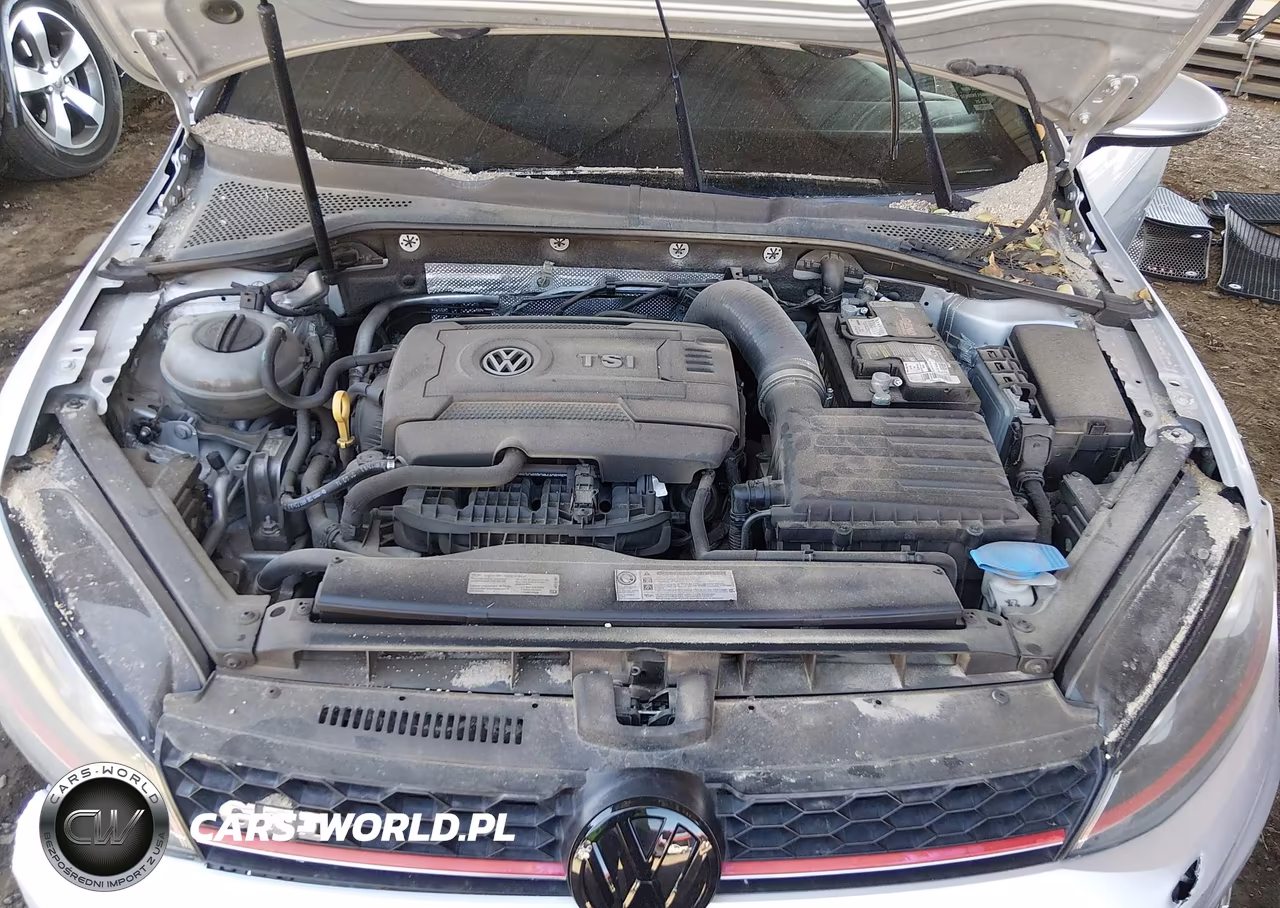 2015 Volkswagen Golf Gti 2.0T S 4-Door VIN:3VW4T7AU2FM079810 - 10