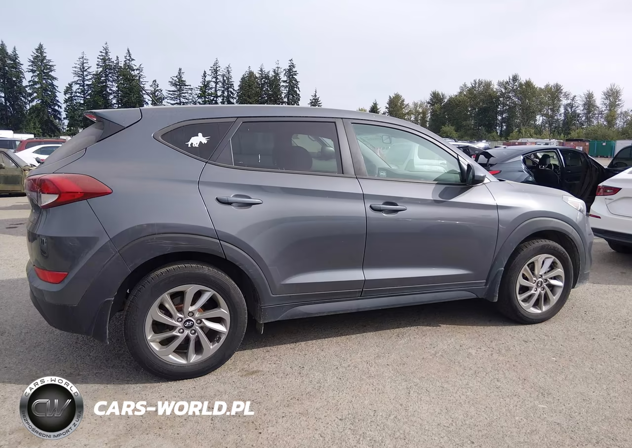 2018 Hyundai Tucson Se VIN:KM8J23A44JU728167 - 13