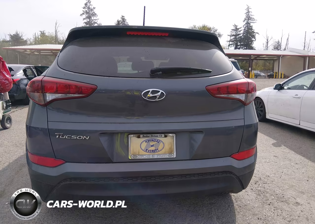 2018 Hyundai Tucson Se VIN:KM8J23A44JU728167 - 16