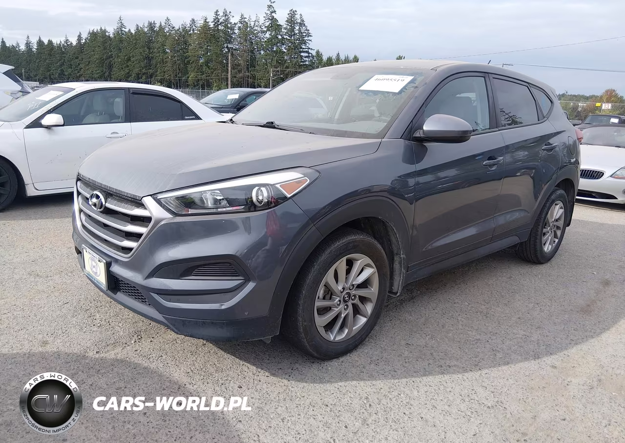 2018 Hyundai Tucson Se VIN:KM8J23A44JU728167 - 2