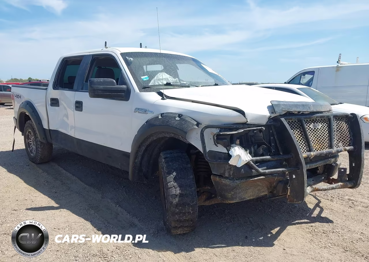 2009 Ford F-150 Xl-Xlt