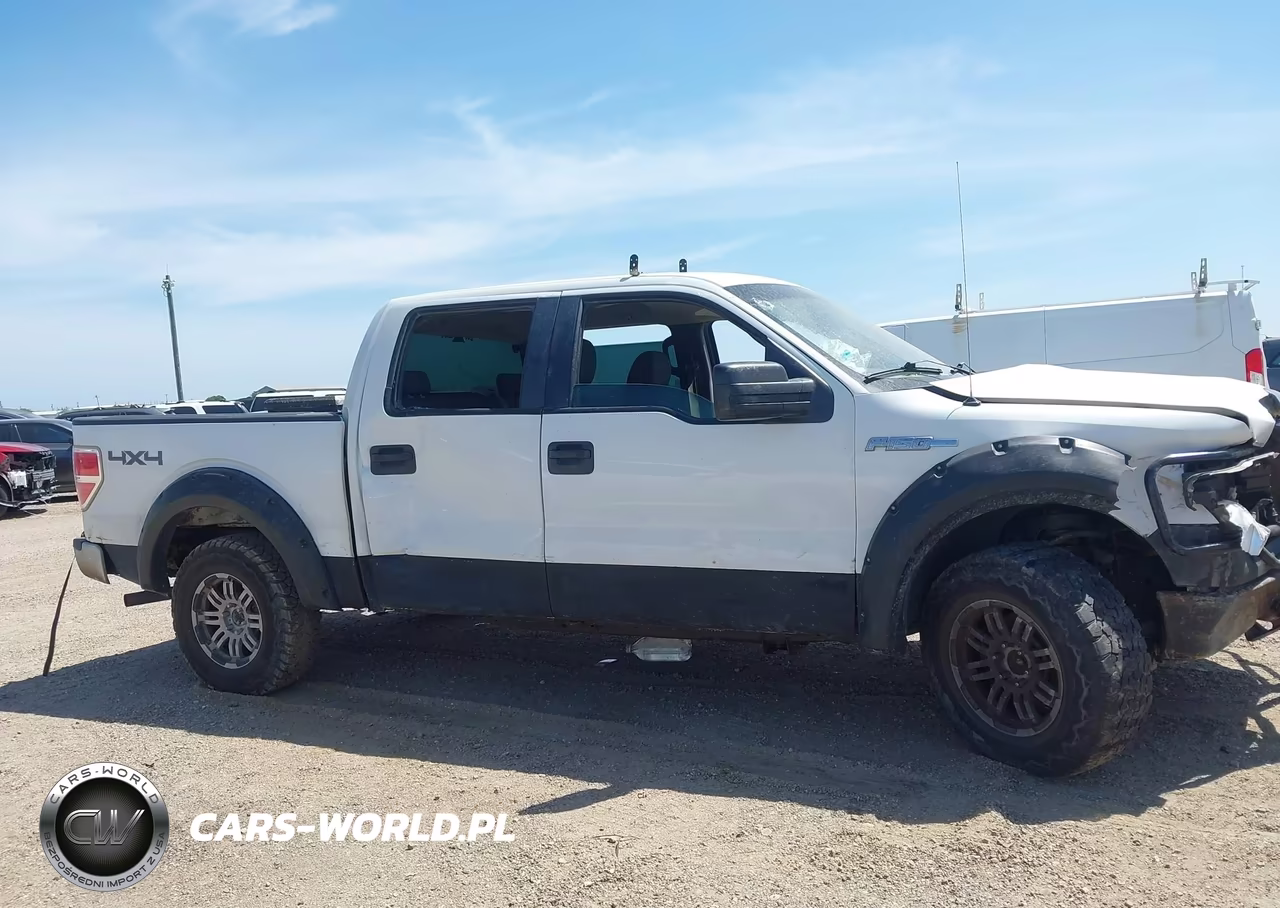 2009 Ford F-150 Xl-Xlt VIN:1FTRW14809FA35529 - 13
