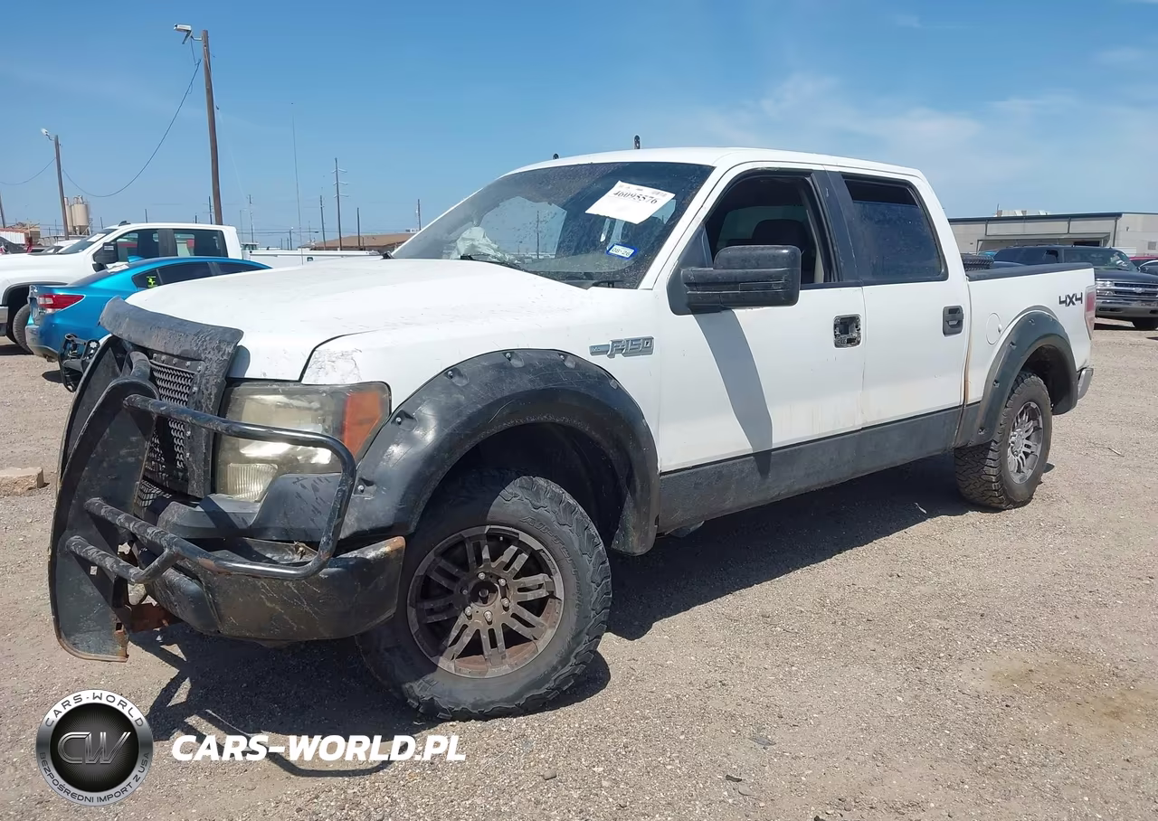 2009 Ford F-150 Xl-Xlt VIN:1FTRW14809FA35529 - 2