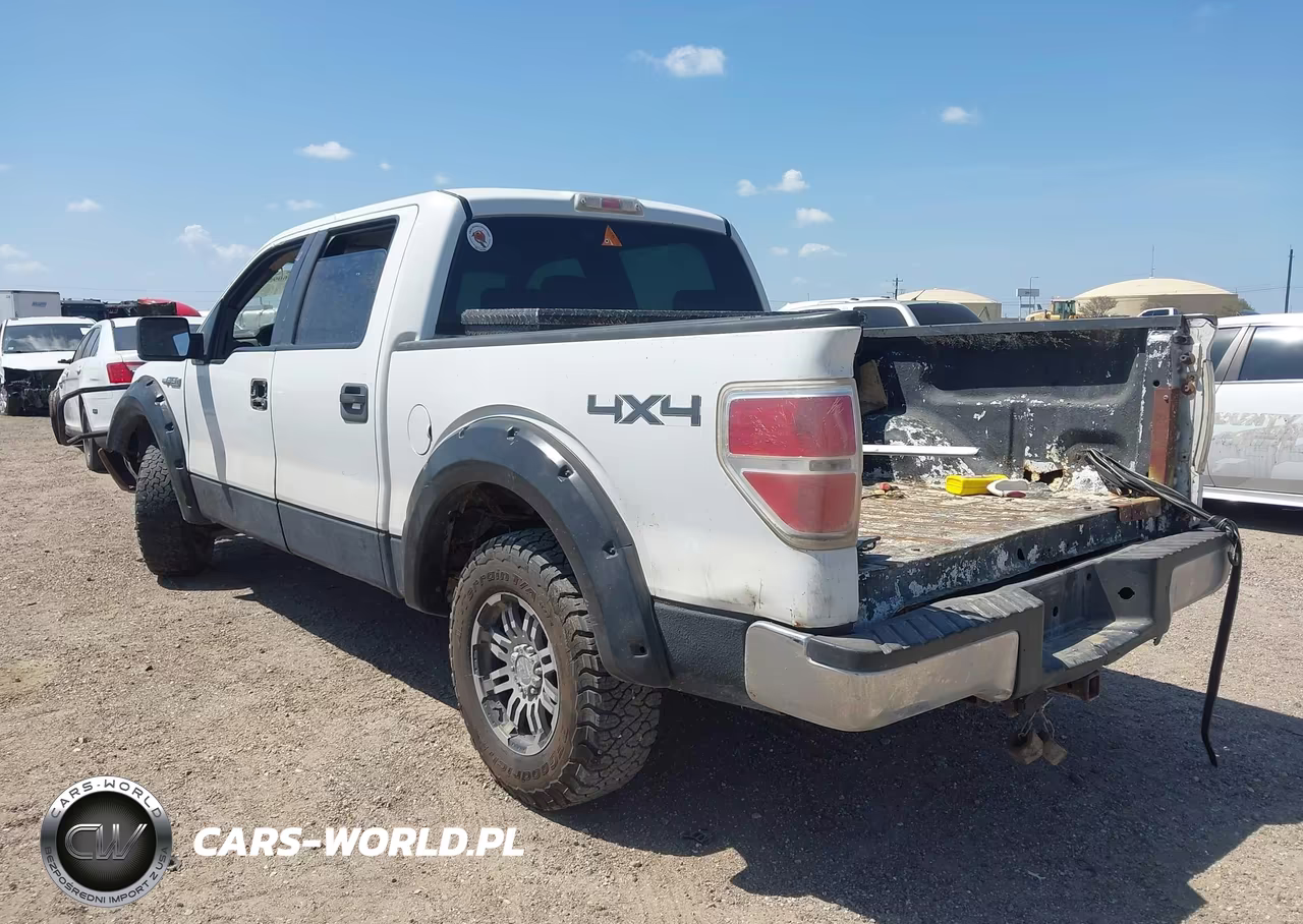 2009 Ford F-150 Xl-Xlt VIN:1FTRW14809FA35529 - 3