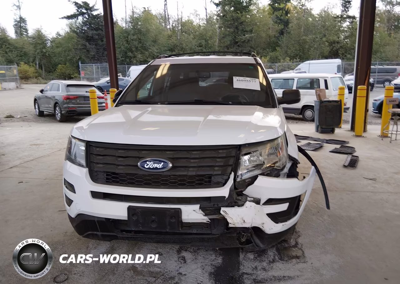 2018 Ford Police Interceptor Utility VIN:1FM5K8ARXJGC19273 - 13