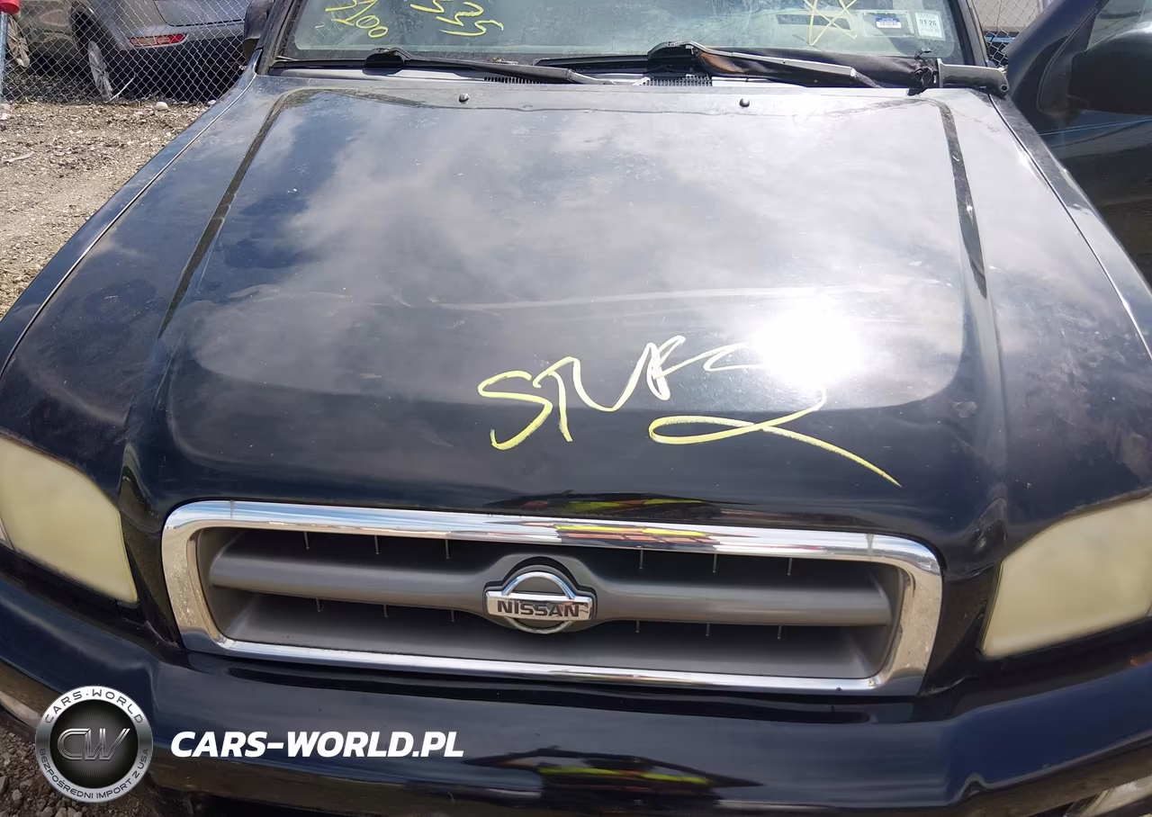 2001 Nissan Pathfinder Le VIN:JN8DR07Y31W513958 - 10