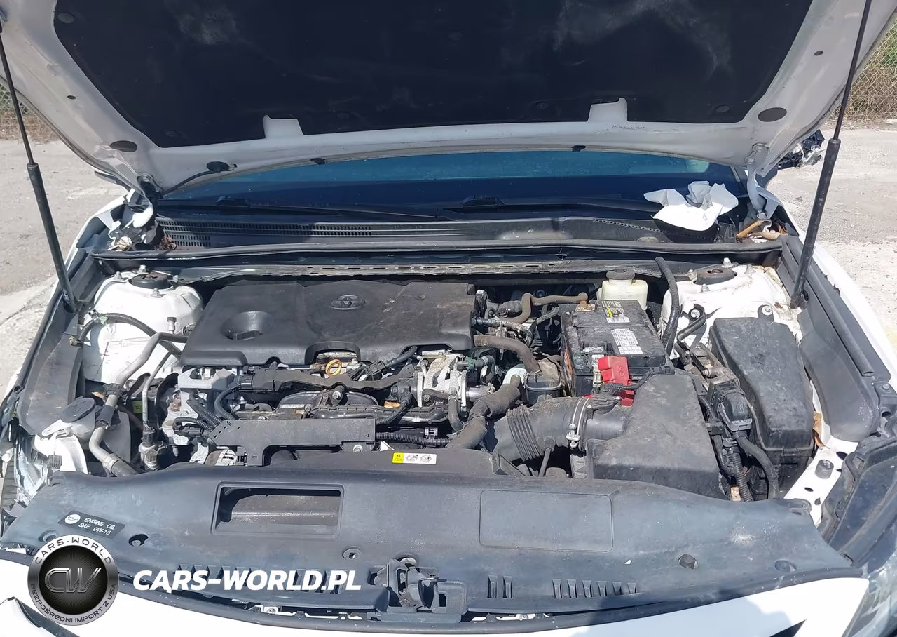 2018 Toyota Camry Se VIN:4T1B11HK7JU571105 - 10