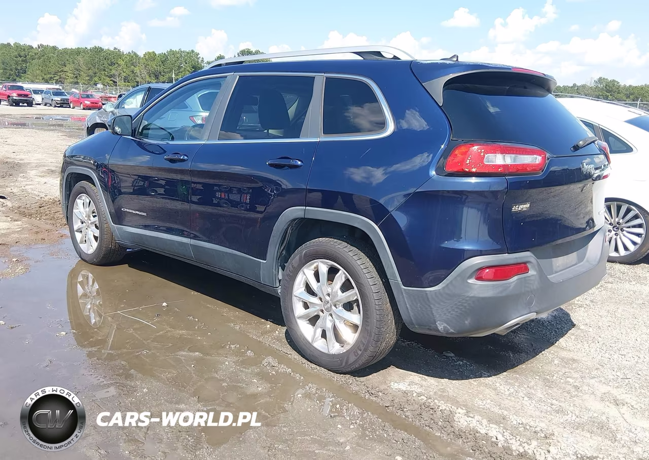 2014 Jeep Cherokee Limited VIN:1C4PJLDS9EW258451 - 3