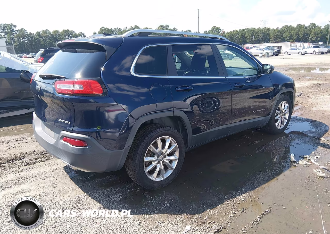 2014 Jeep Cherokee Limited VIN:1C4PJLDS9EW258451 - 4