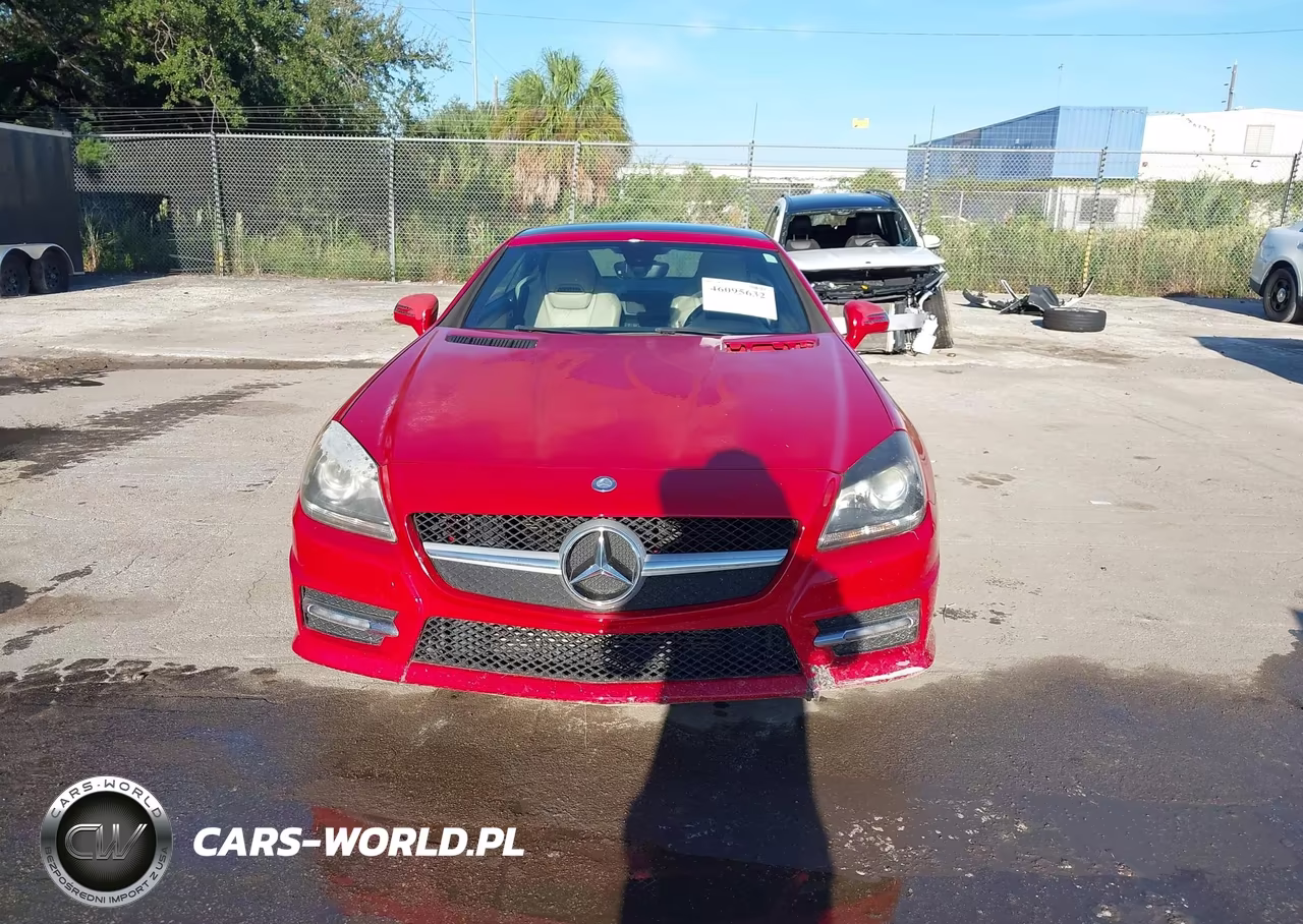 2013 Mercedes-Benz Slk 250 VIN:WDDPK4HA3DF058710 - 12