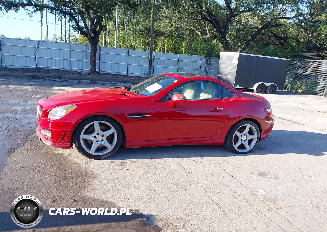 2013 Mercedes-Benz Slk 250 VIN:WDDPK4HA3DF058710 - 14