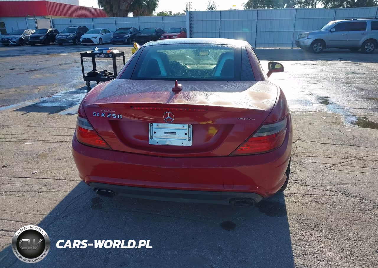 2013 Mercedes-Benz Slk 250 VIN:WDDPK4HA3DF058710 - 16