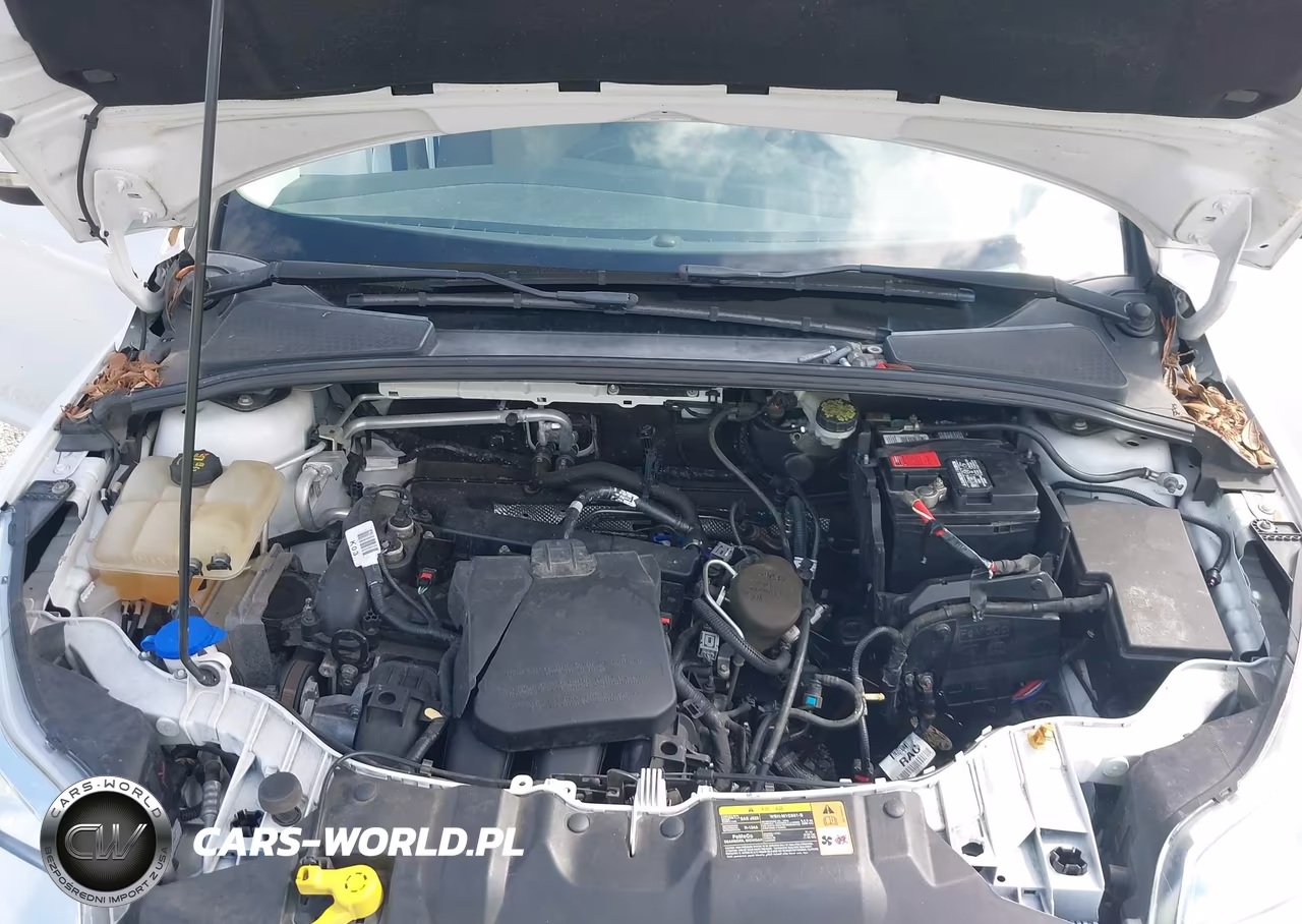 2014 Ford Focus Se VIN:1FADP3K21EL132144 - 10
