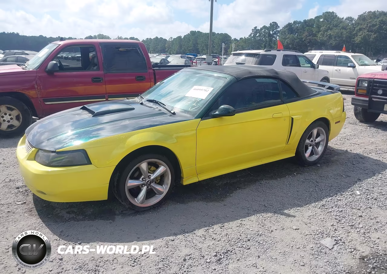 2003 Ford Mustang Gt VIN:1FAFP45XX3F393838 - 2