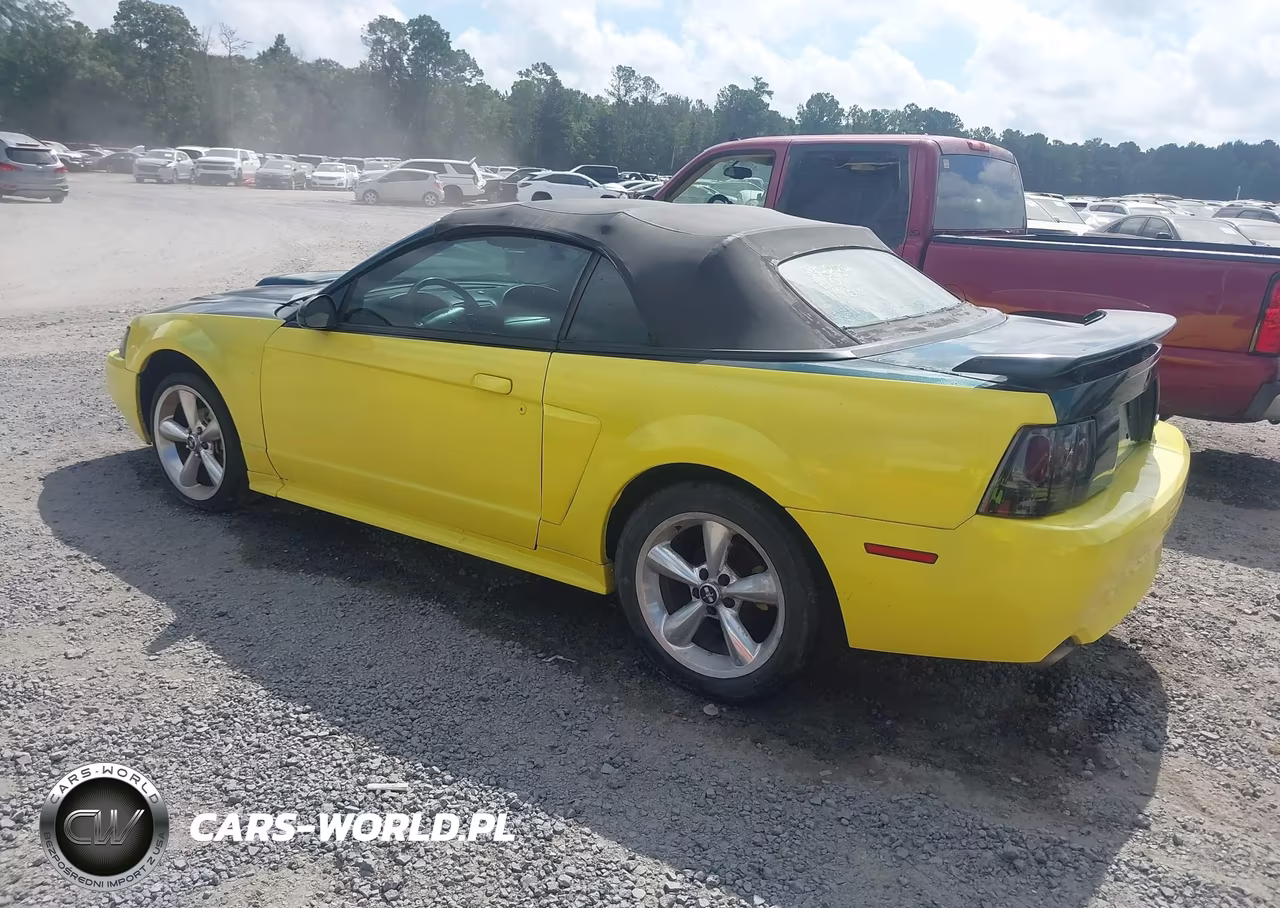 2003 Ford Mustang Gt VIN:1FAFP45XX3F393838 - 3