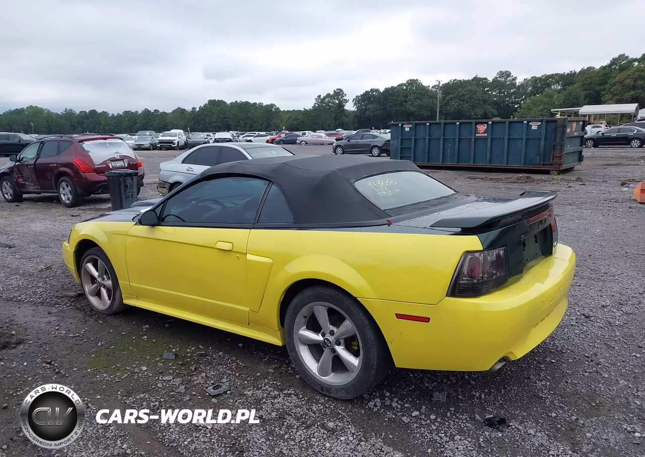 2003 Ford Mustang Gt VIN:1FAFP45XX3F393838 - 6