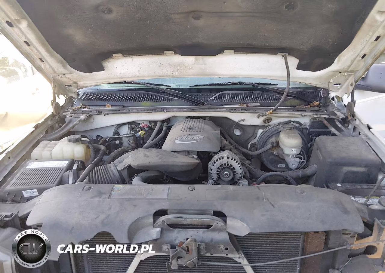 2006 Chevrolet Silverado 1500 Work Truck VIN:1GCEC19V56Z225794 - 10